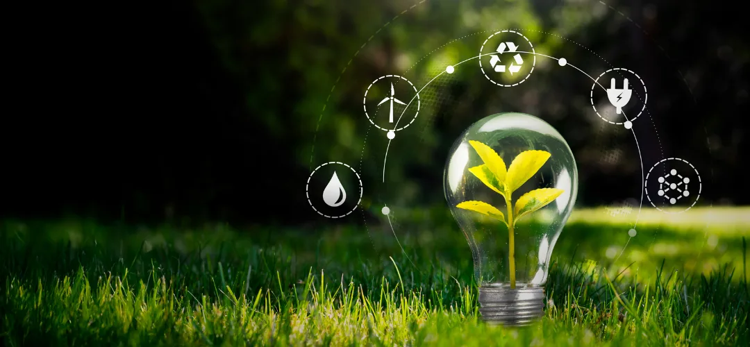 Sustainable Agriculture & Food Systems